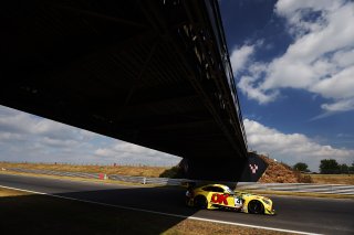 James Cottingham / Lewis Williamson - 2Seas Motorsport Mercedes-AMG GT3
 | British GT/JEP