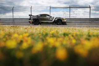 Matt Cowley / Marco Signoretti - Academy Motorsport Ford Mustang GT4
 | British GT/JEP