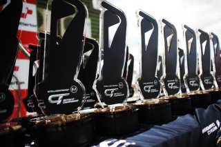 Trophy
 | British GT/JEP