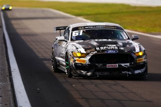 Matt Cowley / Marco Signoretti - Academy Motorsport Ford Mustang GT4 
 | British GT/JEP