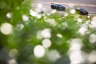 Jack Brown / Will Burns - Century Motorsport BMW M4 GT4 and Morgan Tillbrook / Marcus Clutton - Enduro Motorsport McLaren 720S GT3 
 | British GT/JEP