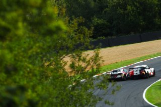 Adam Hatfield / Moh Ritson - Paddock Motorsport McLaren 570S GT4
 | SRO Motorsports Group