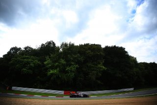 Alex Malykhin / James Dorlin - Redline Racing Porsche 911 GT3 R
 | Adam Pigott