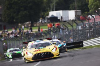 James Cottingham / Lewis Williamson - 2Seas Motorsport Mercedes-AMG GT3
 | SRO Motorsports Group
