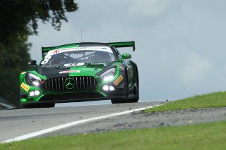 Richard Neary / Sam Neary - Team Abba Racing Mercedes-AMG GT3
 | SRO Motorsports Group
