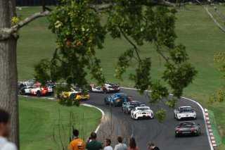 Start of the race
 | jep