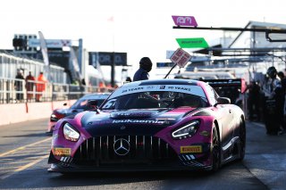 Ian Loggie / Jules Gounon - RAM Racing Mercedes-AMG GT3 GT3 Team Champions
 | British GT/JEP