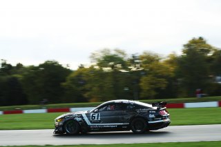 Matt Cowley / Marco Signoretti - Academy Motorsport Ford Mustang GT4 
 | British GT/JEP