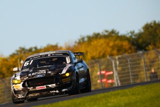 Matt Cowley / Marco Signoretti - Academy Motorsport Ford Mustang GT4 
 | British GT/JEP
