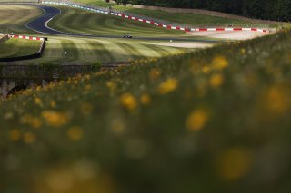 Michael Johnston / Chris Salkeld - Century Motorsport BMW M4 GT4
 | British GT/JEP