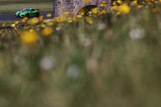 Michael Johnston / Chris Salkeld - Century Motorsport BMW M4 GT4
 | British GT/JEP