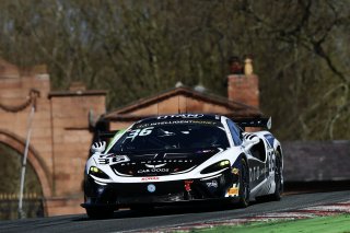 Josh Rowledge / Aston Millar - DTO Motorsport McLaren Artura GT4 
 | British GT/JEP