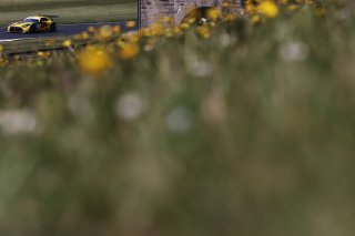 James Cottingham / Jonny Adam - 2Seas Motorsport Mercedes-AMG GT3
 | British GT/JEP