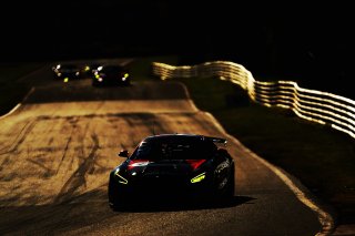 James Wallis / Sam Maher Loughnan - Drivetac Mercedes-AMG GT4 
 | British GT/JEP