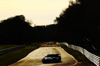 Joe Wheeler - Toro Verde Ginetta G56 GT4 
 | British GT/JEP