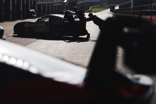 Ian Duggan / James Townsend - Toro Verde Ginetta G56 GT4
 | British GT/JEP