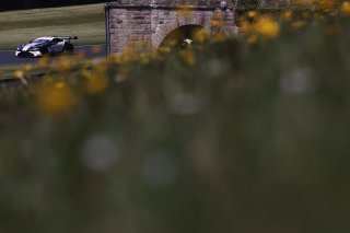 Andrew Howard / Ross Gunn - Beechdean AMR Aston Martin Vantage AMR GT3
 | British GT/JEP
