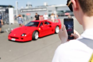 Intelligent Money British GT Championship Fans
 | British GT/JEP