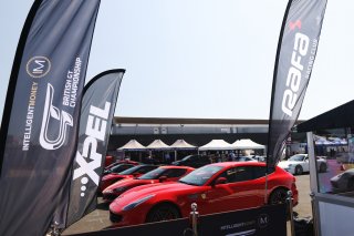 Xpel
 | British GT/JEP