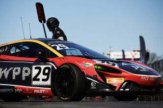 29-1MDH0601.jpg | British GT/JEP