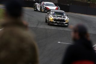 Will Moore / Matt Nicoll-Jones - Academy Motorsport Ford Mustang GT4 
 | British GT/JEP