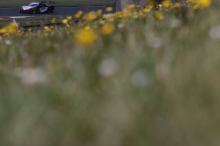 Mark Smith / Martin Plowman - Paddock Motorsport McLaren 720S GT3
 | British GT/JEP