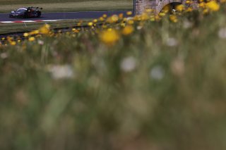 Lucky Khera / Euan Hankey - Race Lab McLaren 720S GT3
 | British GT/JEP