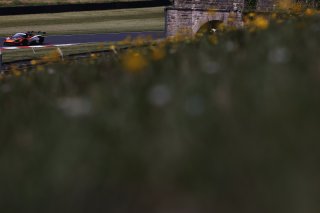 Mark Radcliffe / Rob Bell - Optimum Motorsport McLaren 720S GT3
 | British GT/JEP