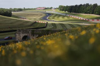 Ian Gough / Tom Wrigley - Race Lab McLaren Artura GT4
 | British GT/JEP