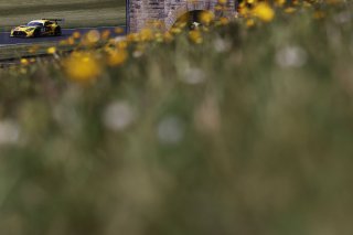James Cottingham / Jonny Adam - 2Seas Motorsport Mercedes-AMG GT3
 | British GT/JEP