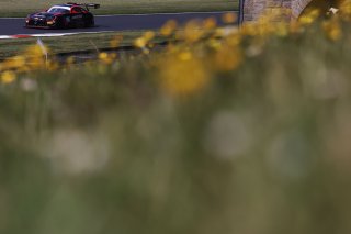 Chris Hart / James Wallis - Drivetac Mercedes-AMG GT3
 | British GT/JEP
