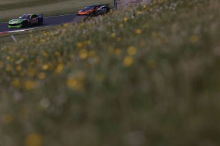Ian Duggan / James Townsend - Toro Verde Ginetta G56 GT4
 | British GT/JEP