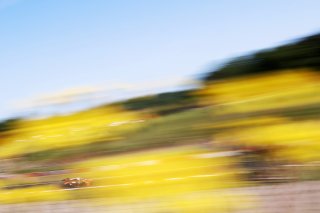 Darren Leung / Dan Harper - Century Motorsport BMW M4 GT3 | British GT/JEP