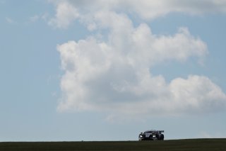 Andrew Howard / Ross Gunn - Beechdean AMR Aston Martin Vantage AMR GT3
 | British GT/JEP