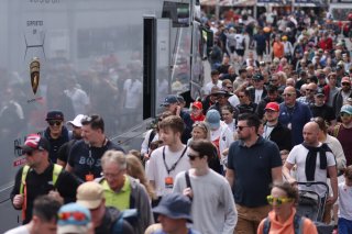 Intelligent Money British GT Championship Pit Lane Walkabout
 | British GT/JEP