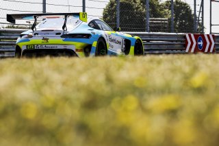 John Ferguson / Raffaele Marciello - RAM Racing Mercedes-AMG GT3 
 | British GT/JEP