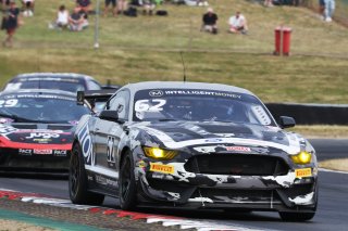 Will Moore / Matt Nicoll-Jones - Academy Motorsport Ford Mustang GT4 
 | British GT/JEP