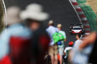 Mark Smith / Martin Plowman - Paddock Motorsport McLaren 720S GT3
 | British GT/JEP