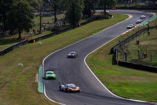 Mark Radcliffe / Rob Bell - Optimum Motorsport McLaren 720S GT3
 | British GT/JEP