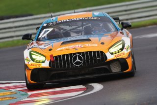 Harry George / Darren Burke - Enduro Motorsport Mercedes-AMG GT4 
 | British GT/JEP