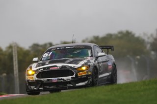 Erik Evans / Matt Cowley - Academy Motorsport Ford Mustang GT4
 | British GT/JEP