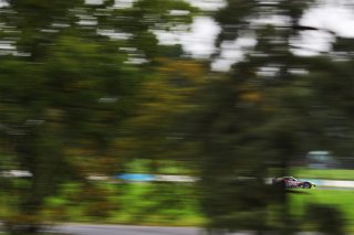 James Townsend / Mike Simpson - Toro Verde Ginetta G56 GT4 
 | British GT/JEP