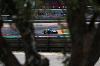 Freddie Tomlinson / Stuart Middleton - Raceway Motorsport Ginetta G56 GT4 
 | British GT/JEP