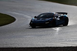 Harry George / Harry Nunn - Enduro Motorsport McLaren Artura GT4 
 | British GT/JEP