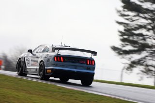 Erik Evans / Matt Cowley - Academy Motorsport Ford Mustang GT4 
 | British GT/JEP