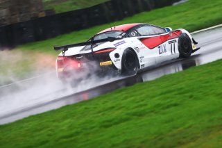 #11 Alex Walker / Blake Angliss - Paddock Motorsport McLaren Artura GT4
 | British GT/JEP