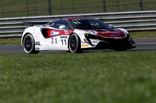 #11 Alex Walker / Blake Angliss - Paddock Motorsport McLaren Artura GT4
 | JEP / SRO