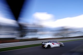 #11 Alex Walker / Blake Angliss - Paddock Motorsport McLaren Artura GT4
 | JEP / SRO