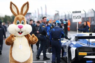 Easter Bunny  | JEP / SRO