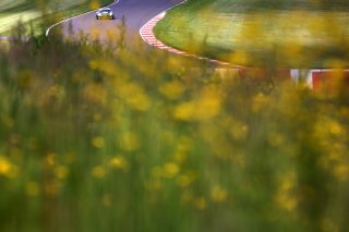 #10 Matt Topham / Josh Rowledge &ndash; Blackthorn Aston Martin Vantage AMR GT3 Evo 
 | SRO/JEP